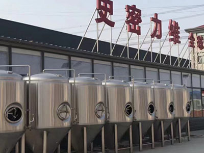 宁波精酿啤酒设备厂—如何判断精酿啤酒设备的密封件需要更换？